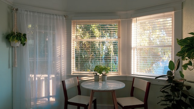 blinds in a living room